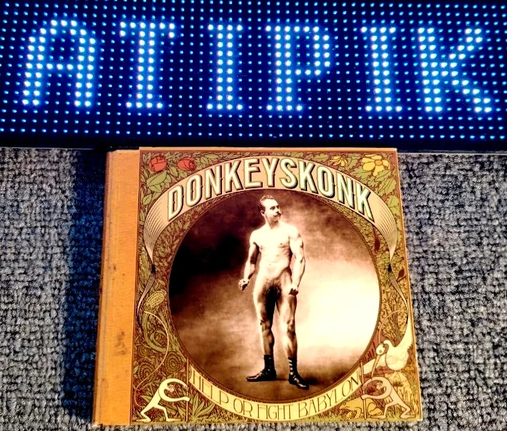 🔥 Pépite ska française ultra rare – Donkey Skonk help or fight babylon (2003) 🔥